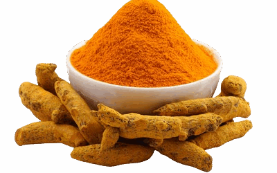 How to Identify High-Curcumin Turmeric: A Guide for Export Buyers